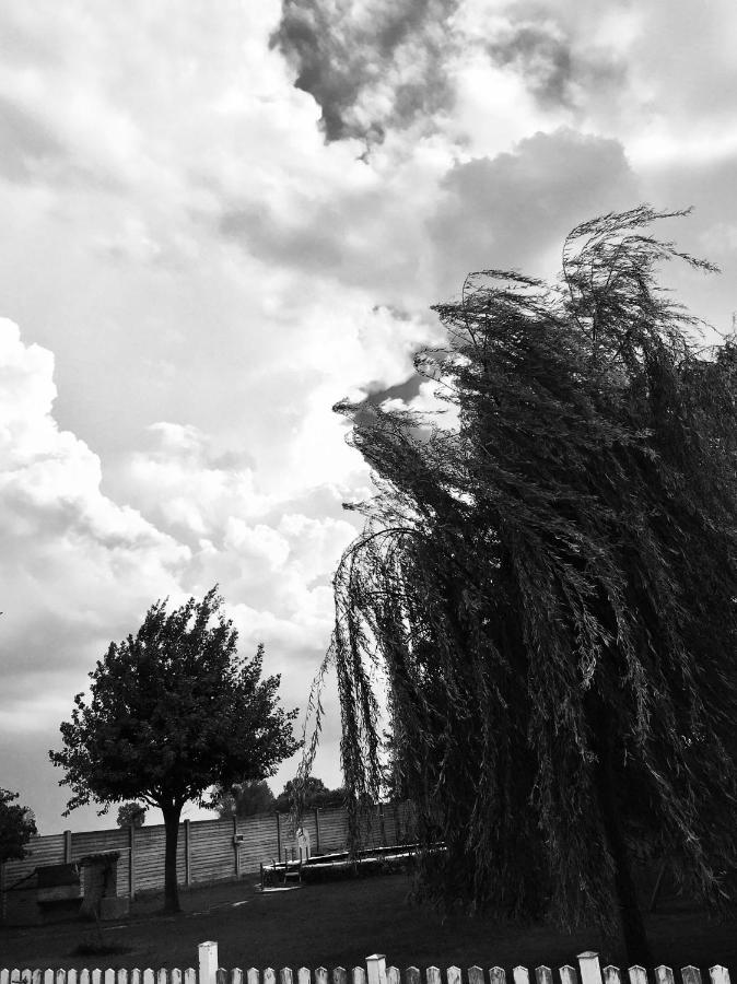 B&B Dallo Zio Ottobiano Exteriér fotografie